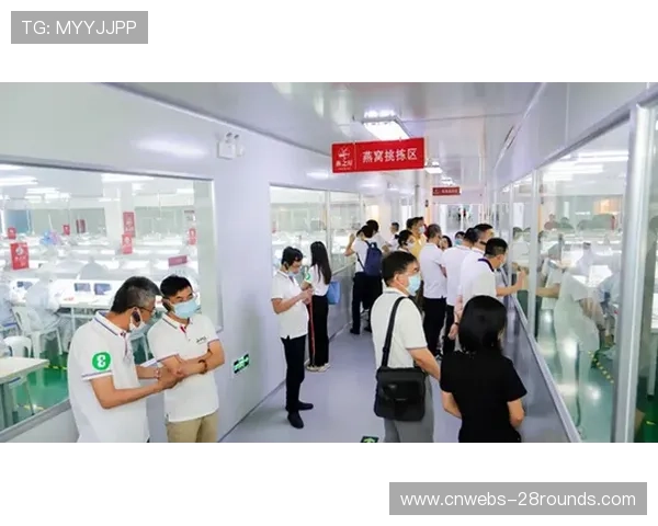 范德芬世界波助攻源自帕利尼亚,热刺媒体呼吁认可贡献 范德芬世界波助攻源自帕利尼亚,热刺媒体呼吁认可贡献