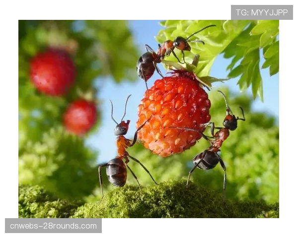 特写：一次成功的团队反抢后，场边的皮奥利用力挥拳庆祝